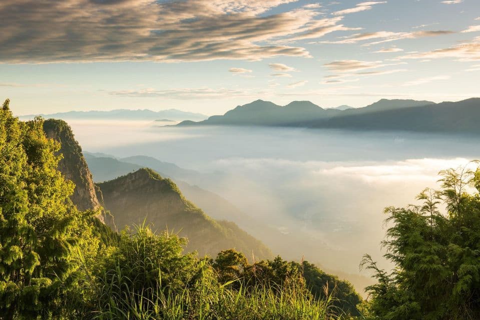 Eine sonnenbeschienene Bergkette mit einem Wolkenmeer, das die Täler bedeckt, von einem hohen Aussichtspunkt mit grünen Bäumen im Vordergrund.
