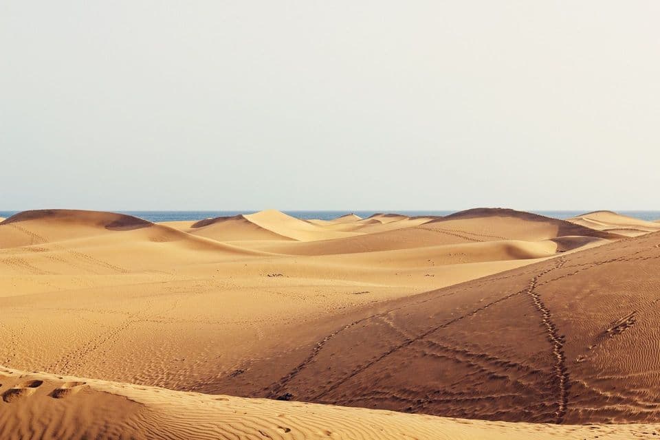 Dune di sabbia ondulate con impronte si estendono verso l'oceano blu sotto un cielo limpido e chiaro.
