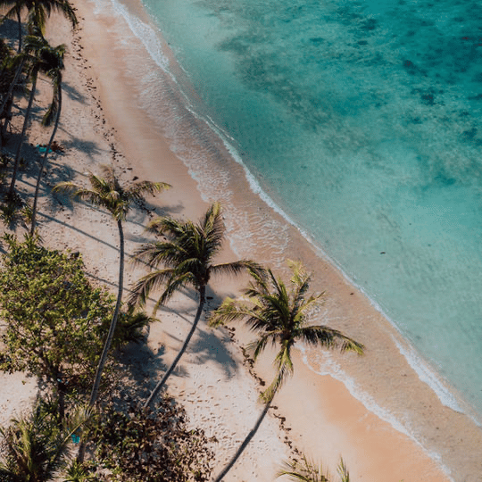 Una vista aerea di una spiaggia sabbiosa costeggiata da palme mentre l'acqua turchese bagna delicatamente la riva.