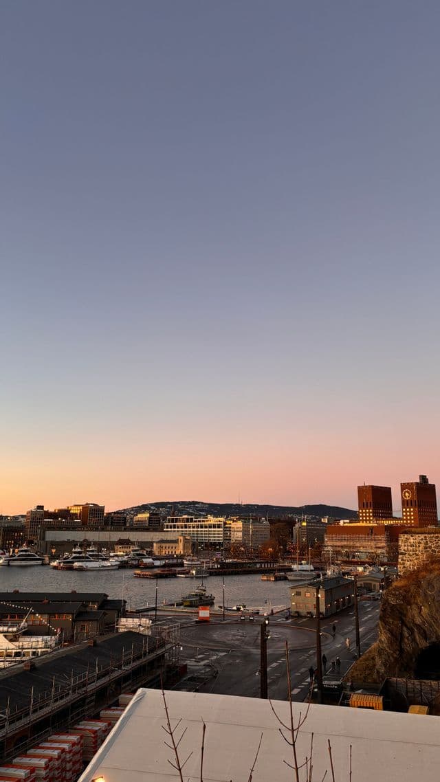 Veduta dall'alto di un porto cittadino al tramonto, con barche ormeggiate e edifici lungo la costa.