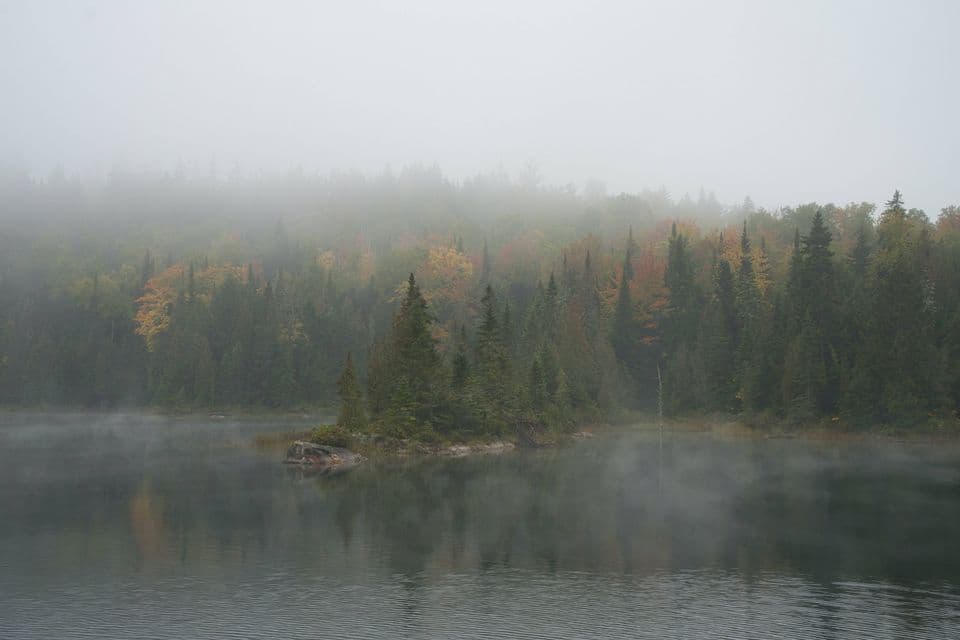 La nebbia sale da un lago calmo circondato da una fitta foresta di pini e alberi dai colori autunnali sotto un cielo nebbioso.