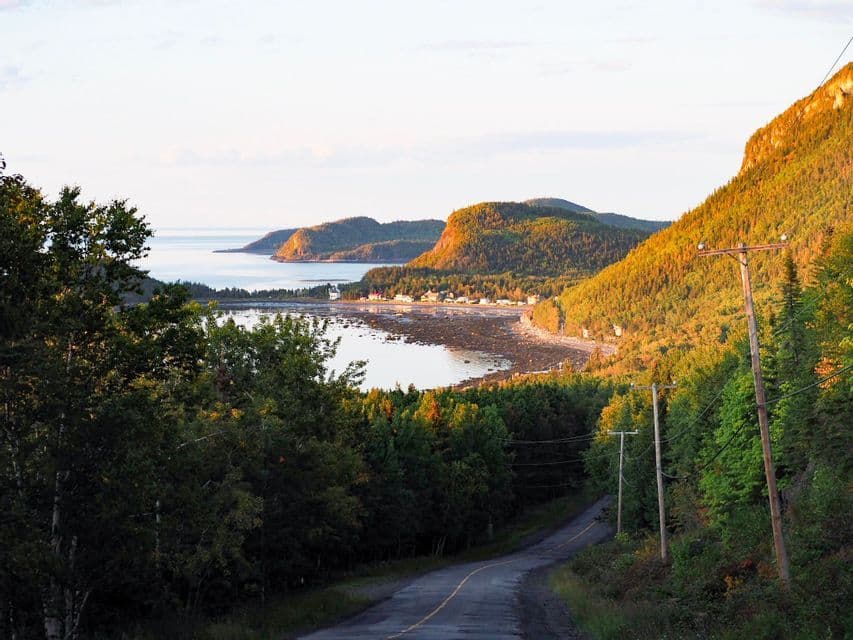 A high-angle view of a winding road through a forest leading to a coastal town on a bay, with sunlit hills in the distance.
