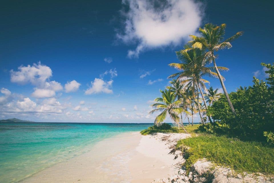 Palmeras en una playa de arena blanca junto a aguas turquesas bajo un cielo azul con nubes.