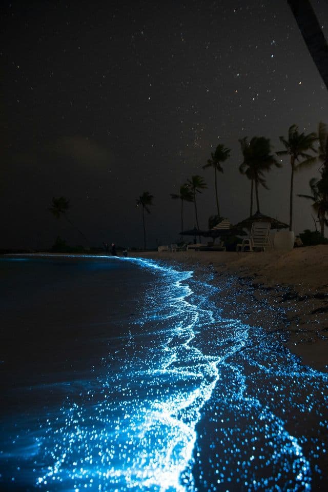 Plancton bioluminiscente azul brillante brilla en las olas que llegan a una playa de arena por la noche bajo un cielo estrellado.