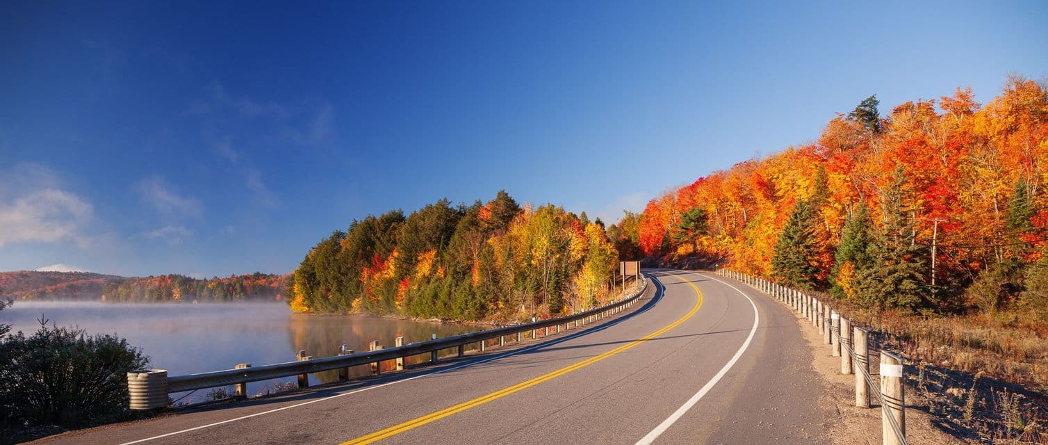 A winding road runs beside a misty lake and a colorful forest with autumn foliage under a bright blue sky.