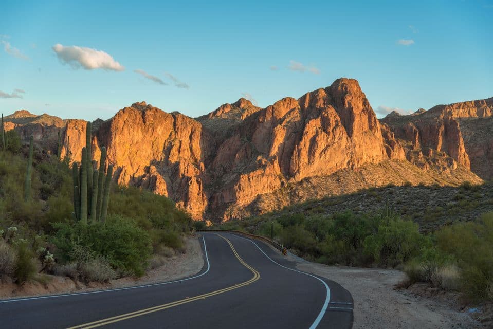 Eine gewundene Asphaltstraße führt durch eine Wüstenlandschaft mit Saguaro-Kakteen in Richtung sonnenbeschienener Felsenberge unter blauem Himmel.