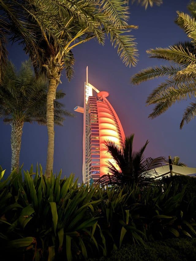 Una vista dal basso di un grattacielo a forma di vela illuminato con luci rosse di notte, incorniciato da palme e piante lussureggianti.