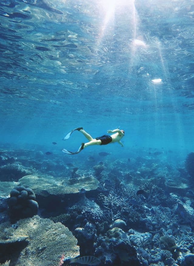 A person with flippers snorkeling underwater above a vast coral reef as sunbeams shine through the surface.