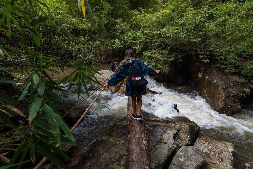 Una persona de un viaje en grupo de WeRoad se equilibra sobre un tronco para cruzar un río caudaloso en un denso bosque verde.