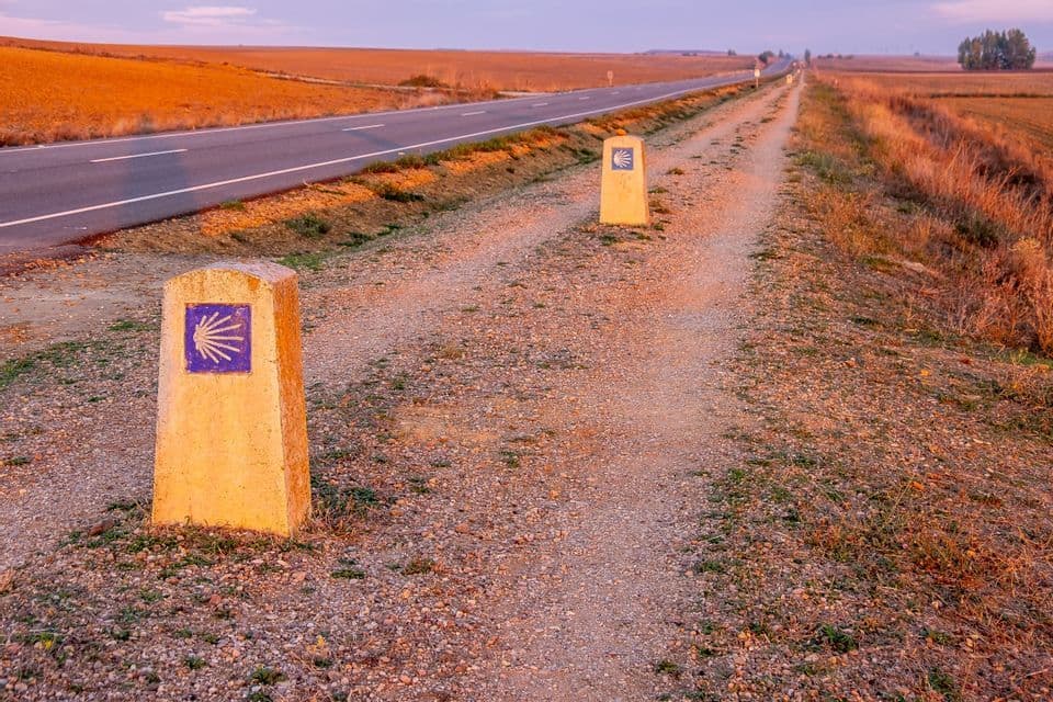 Steinmarkierungen mit dem Jakobsweg-Muschelsymbol säumen einen unbefestigten Pilgerweg neben einer Straße durch eine ländliche Landschaft bei Sonnenaufgang.
