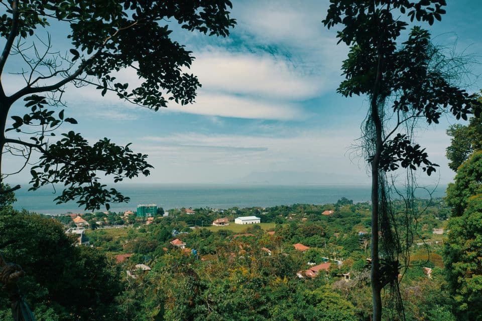 Una vista panoramica dall'alto, che si apre tra gli alberi su una cittadina costiera circondata da una vegetazione lussureggiante, con il mare in lontananza.