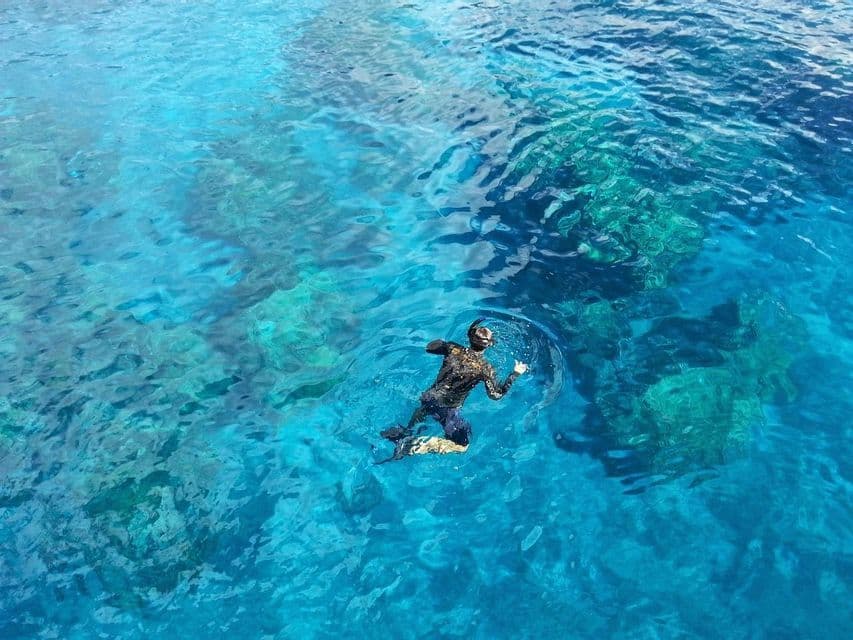 Vista aerea di una persona con muta e attrezzatura da snorkeling che nuota in acque cristalline color turchese sopra una barriera corallina.