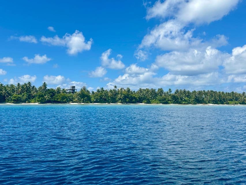Une île tropicale avec des palmiers luxuriants et une plage de sable blanc vue depuis la mer d'un bleu profond sous un ciel nuageux.