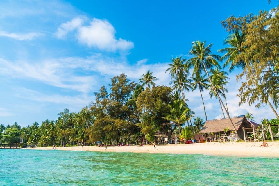 Une plage tropicale de sable bordée de grands palmiers et d'une cabane au toit de chaume près d'une eau turquoise cristalline.