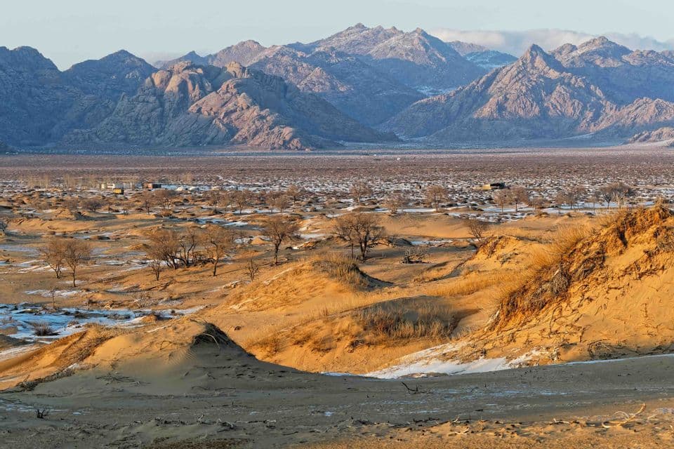 Dunes de sable doré avec des plaques de neige et des arbres clairsemés devant une vaste plaine et une chaîne de montagnes escarpées.