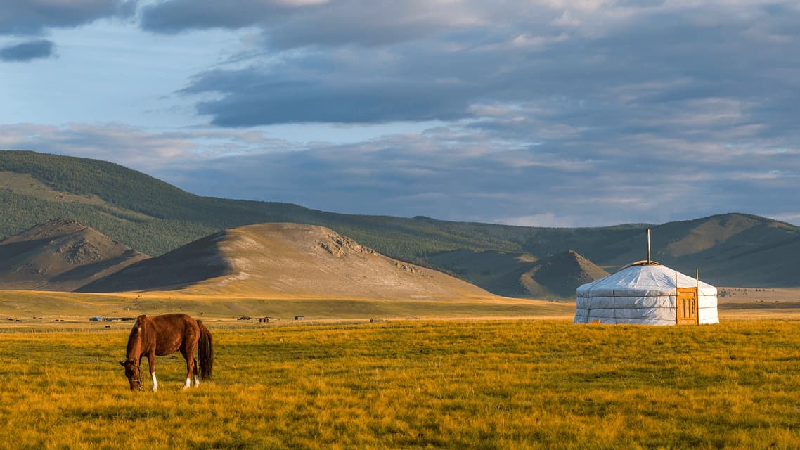 Un cheval brun broute dans un pré doré à côté d'une yourte blanche, avec des collines ondulantes sous un ciel nuageux en arrière-plan.