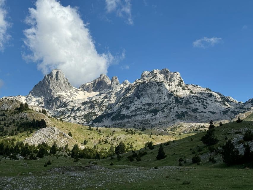Sous un ciel bleu, des montagnes rocheuses déchiquetées avec des névés surplombent des collines verdoyantes parsemées de petits arbres.