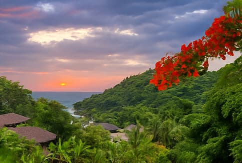 Le soleil se couche sur l'océan, vu depuis une colline luxuriante couverte de jungle avec des fleurs rouges au premier plan.