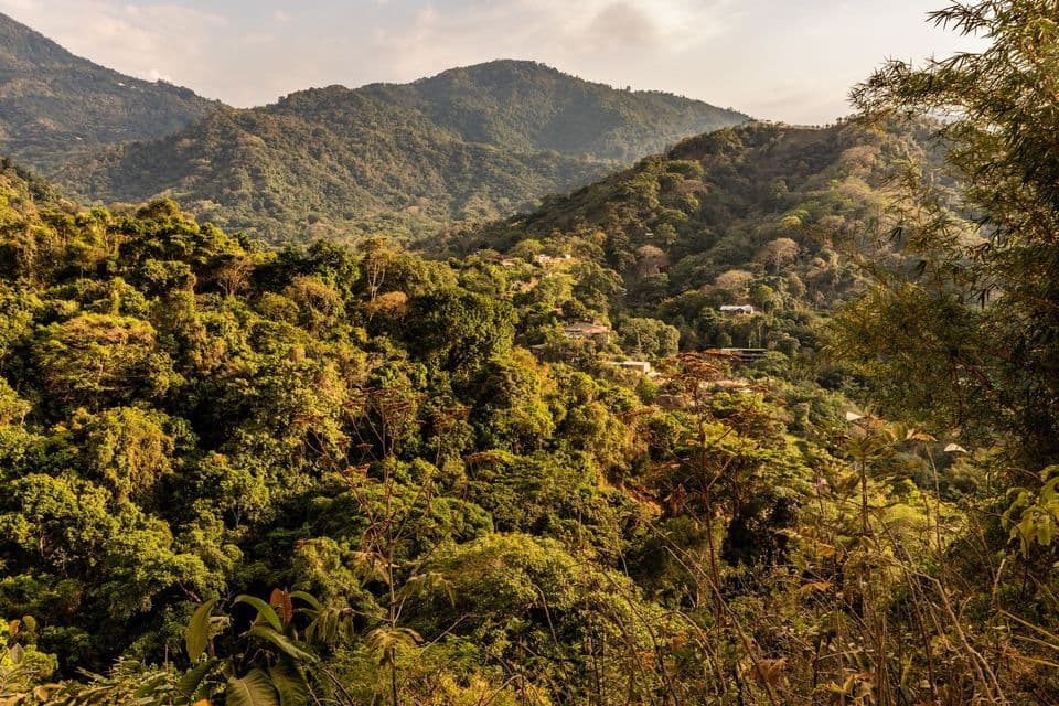 Un petit village aux toits blancs est niché dans une vallée de vastes collines verdoyantes, couvertes d'une dense forêt.