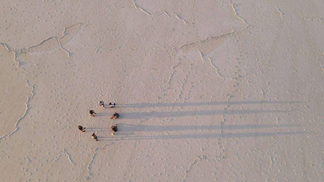 Vista aerea di un viaggio di gruppo WeRoad che cammina attraverso una vasta distesa di sale, proiettando lunghe ombre sulla superficie screpolata.