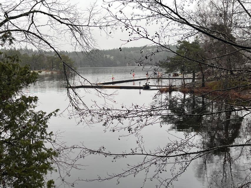 Un pontile in legno su un lago tranquillo, osservato attraverso i rami spogli degli alberi in una giornata nuvolosa, con una riva boscosa sullo sfondo.