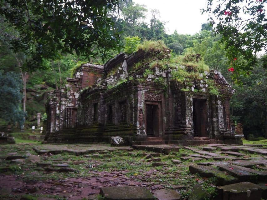 Una antigua ruina de templo de piedra cubierta de musgo y vegetación, enclavada en un denso bosque verde.