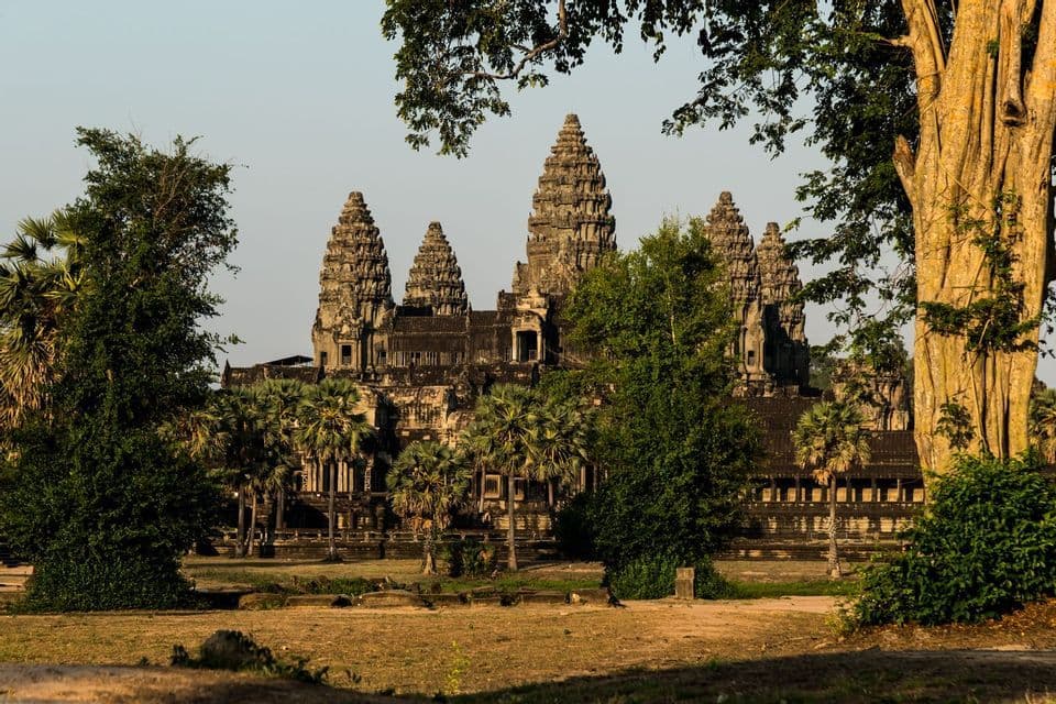 Antiguo templo de piedra con múltiples torres ornamentadas, enmarcado por exuberantes árboles y palmeras bajo un cielo despejado.