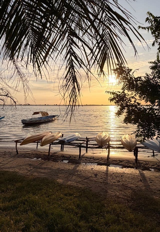 Kayaks en un estante en una playa de arena junto al agua al atardecer, con palmeras en silueta en primer plano.