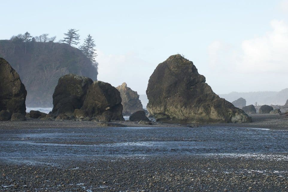 Grandi faraglioni emergono da una spiaggia di ciottoli bagnata, con una scogliera boscosa sullo sfondo sotto un cielo coperto.
