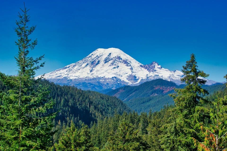 Un'imponente montagna innevata si erge sopra una fitta foresta sempreverde sotto un cielo limpido e azzurro intenso.