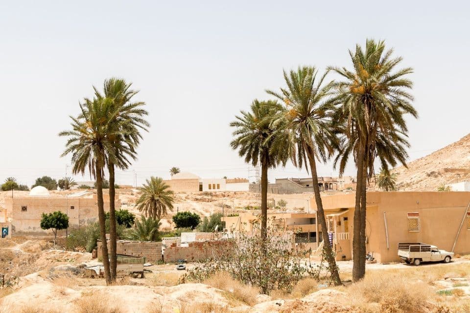 Blick auf ein Wüstendorf mit mehreren Palmen, sandfarbenen Gebäuden und einer trockenen, hügeligen Landschaft.