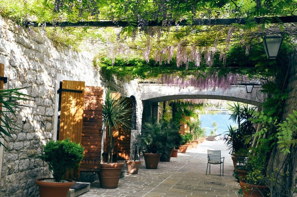 Un viale in pietra illuminato dal sole, fiancheggiato da piante in vaso, sotto un pergolato con glicini pendenti, che conduce a un arco affacciato sul mare.