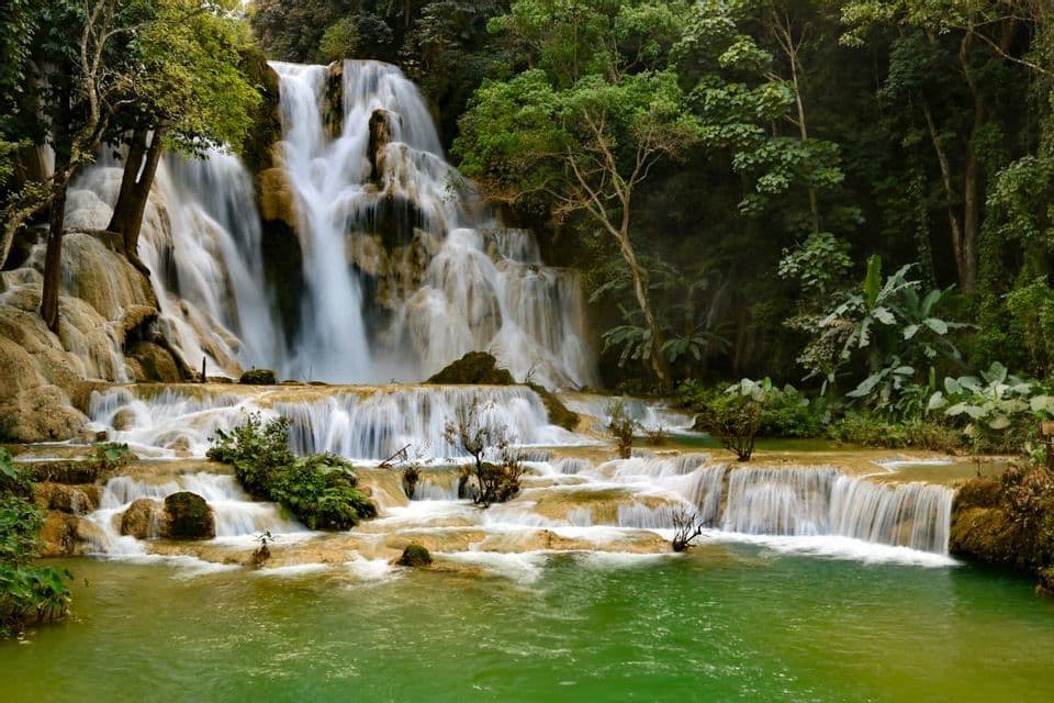 Une cascade à plusieurs niveaux dévale des formations rocheuses claires jusqu'à un bassin vert, entourée d'une forêt dense et luxuriante.