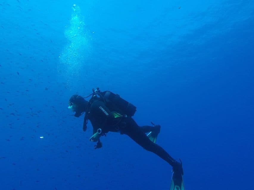 Un subacqueo con muta nera nuota orizzontalmente nell'oceano blu profondo, circondato da un banco di pesci.