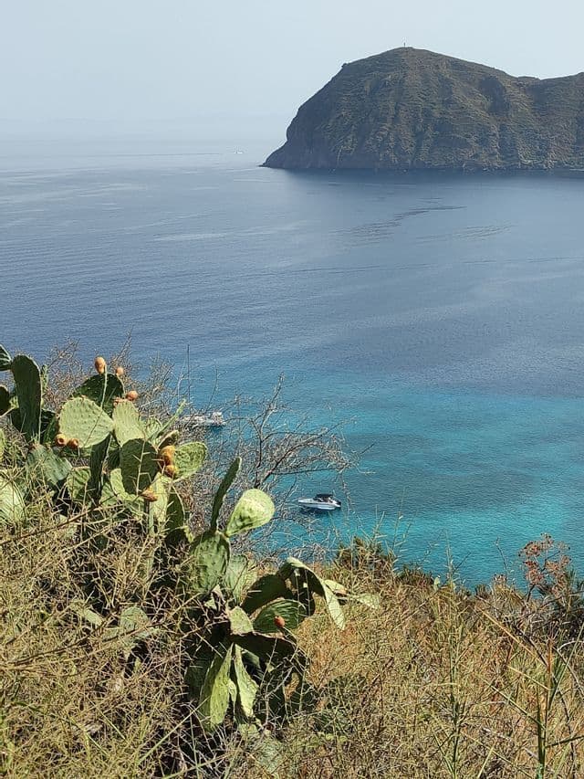 Un fico d'India su una collina si affaccia su una baia turchese con barche ancorate e un'isola grande e distante sotto un cielo velato.