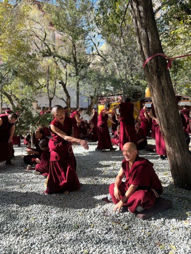 Un gruppo di monaci in tonache rosse si è riunito in un cortile di ghiaia illuminato dal sole, con alcuni che sorridevano e altri che interagivano sullo sfondo.