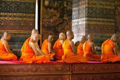 Several Buddhist monks in orange robes meditating in a row inside an ornate temple.