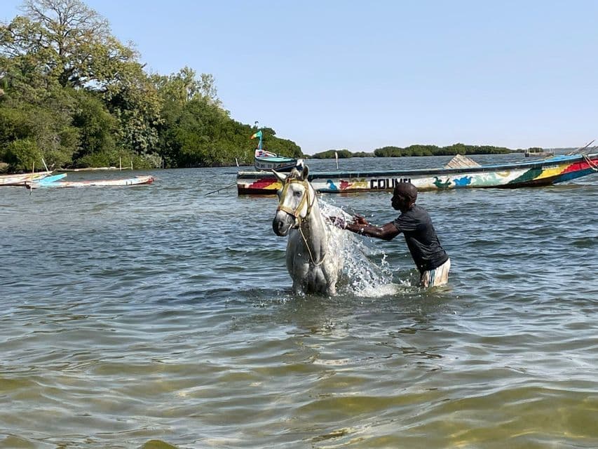 Un hombre, con el agua hasta la cintura, lava un caballo blanco salpicándolo, con barcos de colores amarrados al fondo.
