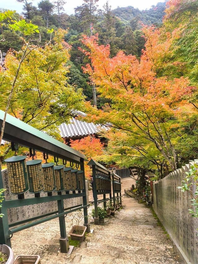 Una scalinata di pietra con ruote di preghiera giapponesi scende attraverso un bosco di alberi dal vibrante fogliame autunnale.