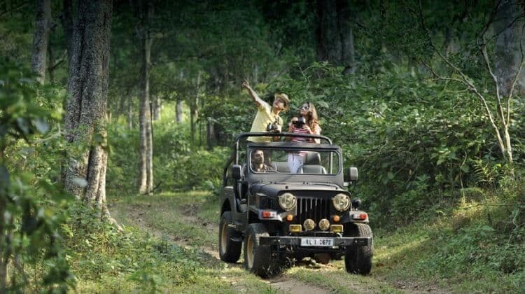 Un voyage de groupe WeRoad de trois personnes dans une jeep décapotable sur un chemin de terre à travers une forêt. Un homme montre du doigt tandis qu'une femme regarde aux jumelles.