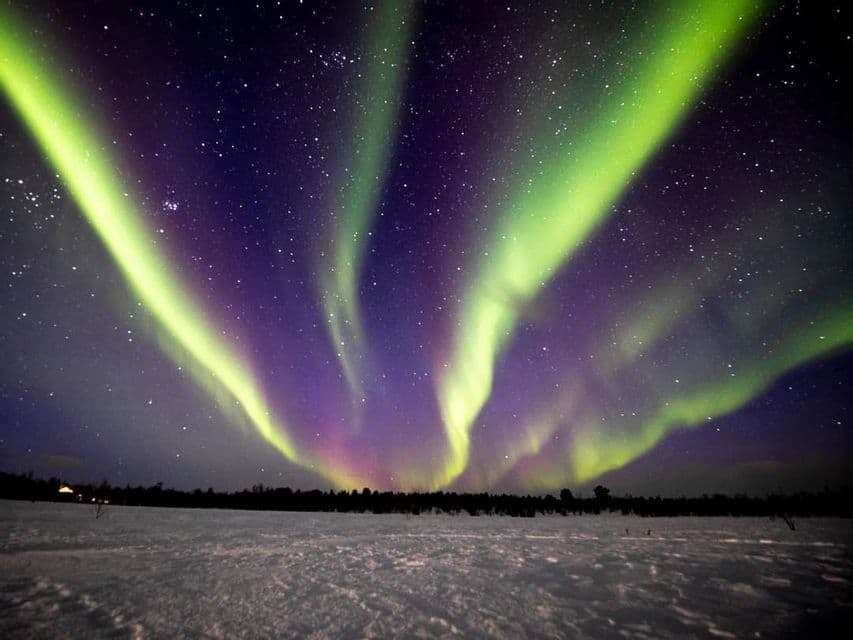 Des aurores boréales vertes et violettes brillent dans un ciel nocturne étoilé, au-dessus d'un vaste paysage enneigé et d'une lointaine lisière de forêt.
