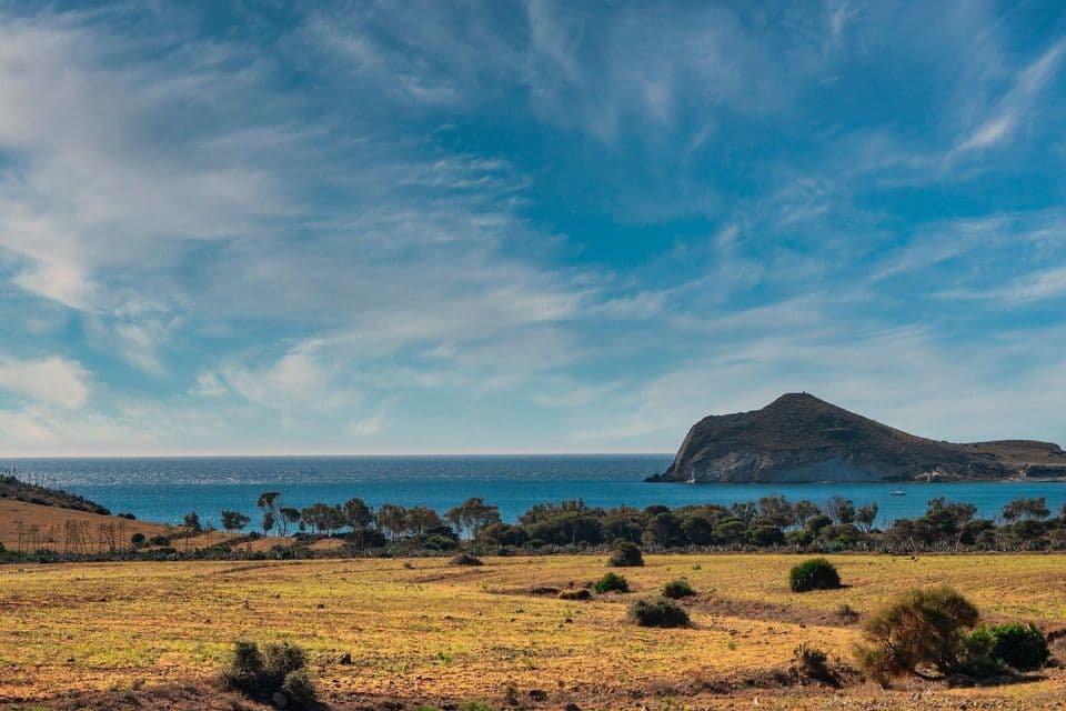 Un campo erboso e arido incontra il mare blu, con una grande isola rocciosa sullo sfondo sotto un cielo azzurro con nuvole bianche striate.