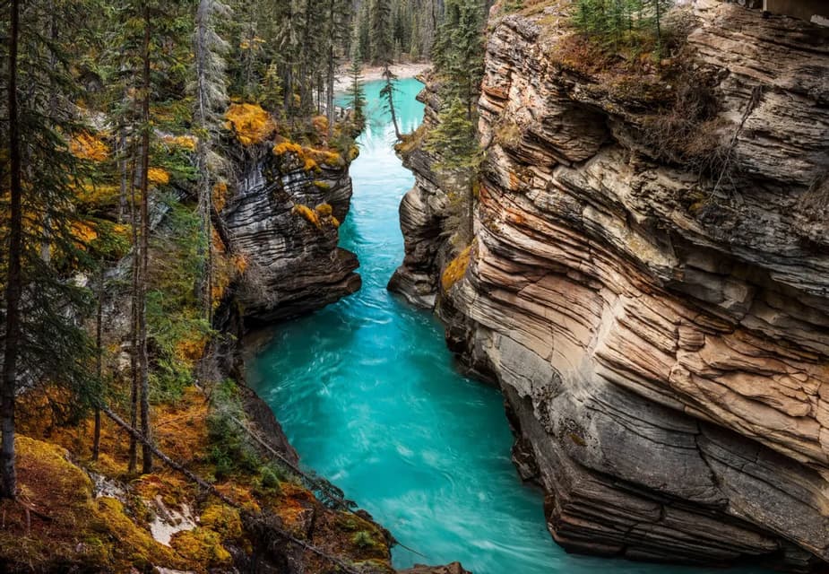 Un río turquesa serpentea por un estrecho cañón rocoso, flanqueado por densos bosques perennes y musgo amarillo en los acantilados.