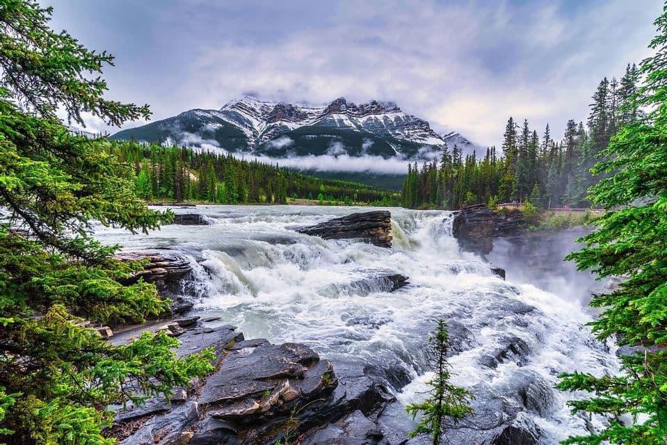 Una potente cascada cae sobre salientes rocosos, con un denso bosque de pinos y una gran montaña nevada al fondo.