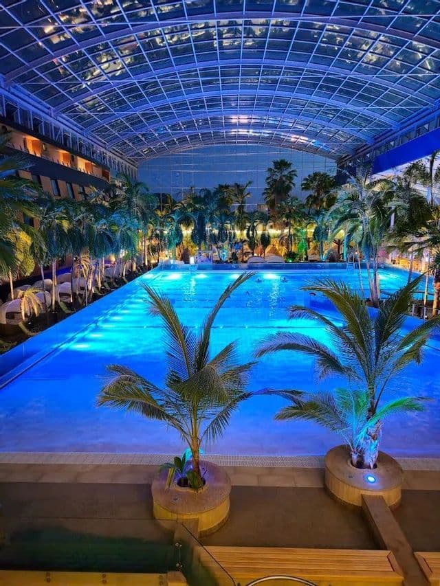 Una grande piscina coperta illuminata di blu di notte, circondata da palme sotto un soffitto di vetro ad arco.