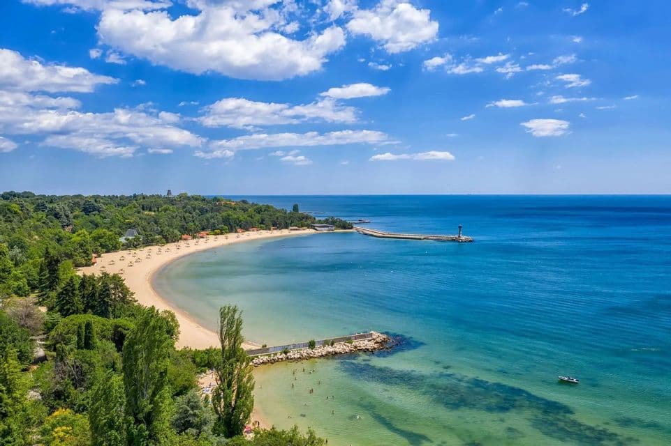 Una vista aerea di una scenografica spiaggia a mezzaluna con acqua turchese, delimitata da alberi verdi lussureggianti sotto un cielo azzurro con nuvole soffici.