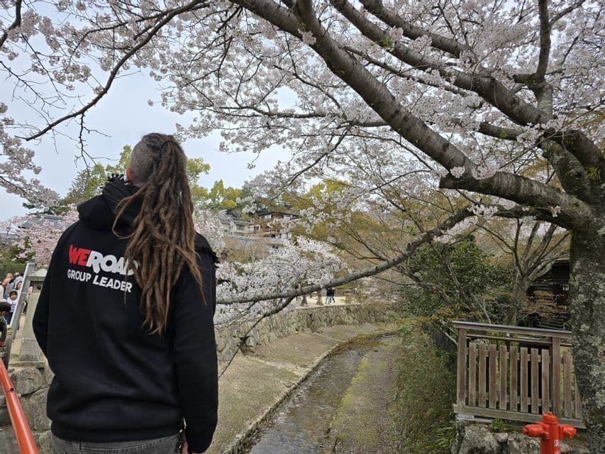 Un guía de grupo WeRoad con rastas está de pie bajo un gran cerezo en flor, observando un pequeño canal.