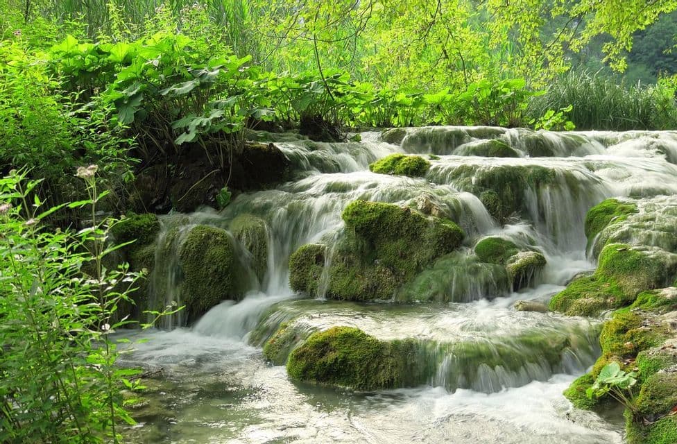 Ein kleiner, kaskadierender Wasserfall fließt über moosbewachsene Felsen, umgeben von üppigem Grün in einem Wald.