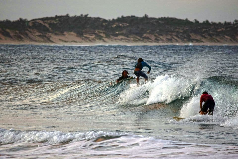 Three surfers riding waves in the ocean with a distant hilly shoreline in the background.
