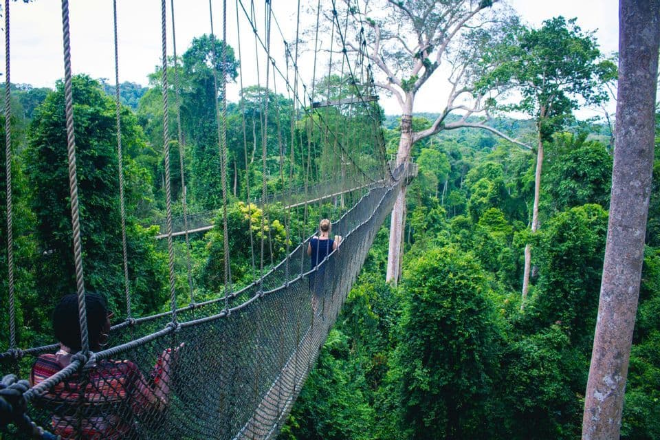 Due persone di un viaggio di gruppo WeRoad camminano su un ponte di corda sospeso in alto sopra una giungla verde e lussureggiante.